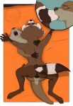  2022 anthro anthro_on_anthro anthro_penetrated anthro_penetrating anthro_penetrating_anthro anus bird&#039;s-eye_view brown_body brown_fur butt duo female female_on_bottom female_penetrated from_front_position fur guardians_of_the_galaxy hi_res high-angle_view interspecies kiss_on_lips kissing looking_pleasured lying lylla male male/female male_on_top male_penetrating male_penetrating_female mammal marvel missionary_position mustelid on_back on_bottom on_top otter penetration penile penile_penetration penis_in_pussy procyonid raccoon rocket_raccoon romantic_sex sex silentbandit vaginal vaginal_penetration whiskers 