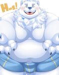  2023 anthro belly big_belly blush bulge canid canine canis clothing domestic_dog fur hi_res kemono lifewonders live_a_hero male mammal moobs nipples overweight overweight_male simple_background solo tolsche underwear white_body white_fur yohack 
