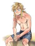  1boy blue_shorts earrings jewelry link low_ponytail male_focus monbetsu_kuniharu own_hands_clasped own_hands_together pointy_ears shorts sidelocks sitting solo sunburn tan tanlines the_legend_of_zelda the_legend_of_zelda:_breath_of_the_wild toned toned_male topless_male translation_request 