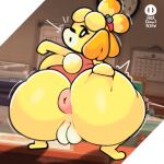  2023 alexdraws animal_crossing anthro anus canid canine canis clothed clothing crouching domestic_dog female fur genitals hi_res isabelle_(animal_crossing) looking_at_viewer looking_back mammal nintendo nude partially_clothed plump_labia puffy_anus pussy rear_view solo yellow_body yellow_fur 