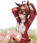  1girl animal_ears brown_hair feet_out_of_frame gym_uniform hair_between_eyes horse_ears horse_girl horse_tail jacket looking_at_viewer nakayama_festa_(umamusume) nakichi_n purple_eyes red_jacket red_shorts shirt shorts sidelocks sitting solo tail tracen_training_uniform track_jacket tying_hair umamusume white_shirt 