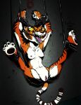  anthro bdsm bondage bound breasts digital_media_(artwork) dreamworks felid feline female gag genitals hi_res kung_fu_panda mammal master_tigress mortimer_thorn nipples nude open_mouth pantherine pussy questionable_consent restrained restraints ring_gag simple_background solo solo_focus suspended_in_midair tiger 