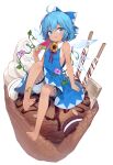  1girl absurdres adapted_costume animal barefoot bloomers blue_bow blue_dress blue_eyes blue_hair bow breasts chocolate cirno commentary_request dress feet food frog full_body hair_bow highres ice ice_cream ice_wings legs looking_at_viewer neck_ribbon popsicle red_ribbon ribbon sankyaku_tako short_hair sitting sleeveless sleeveless_dress small_breasts snowflakes soles solo tanned_cirno toes touhou underwear watermelon_bar white_bloomers wings 