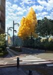  absurdres autumn_leaves blue_sky building city cloud day highres lamppost no_humans original outdoors road scenery shade sky street sumassha_t_t tree 