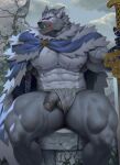  2023 abdominal_scar abs anthro arm_scar armor balls black_sclera blaidd_(elden_ring) blue_cape canid canine canis cape cheek_scar chest_scar clothing clothing_aside cracked_wall elden_ring flaccid fromsoftware fur genitals gloves grey_body grey_fur handwear head_scar hi_res holding_object holding_sword holding_weapon male mammal melee_weapon navel nipples overcast pantsless pecs penis plant purple_eyes raccoon21 scar sitting sky solo stone_wall sword underwear underwear_aside vambrace vines wall_(structure) weapon white_clothing white_underwear wolf 