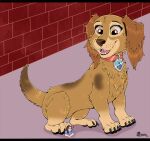  &lt;3 2021 brick_wall canid canine canis claws clothing collar collar_only collar_tag dachshund domestic_dog duo fangs female feral fur hair head_turned hi_res human hunting_dog liberty_(paw_patrol) macro male mammal marcushunter micro micro_on_macro nude open_mouth paw_patrol paws raised_tail signature sitting size_difference smile tail teeth tongue wall_(structure) wide_eyed 