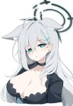  1girl animal_ear_fluff animal_ears black_choker blue_archive blue_eyes breasts choker copyright_request grey_hair halo highres large_breasts long_hair mismatched_pupils portrait sakikumo_(sakumo) shiroko_(blue_archive) white_background 
