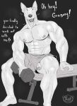  2023 abs absurd_res anthro biped bodily_fluids bull_terrier canid canine canis digital_media_(artwork) domestic_dog dumbbell english_text erection foreskin genital_fluids genitals greyscale hi_res holding_dumbbell hunting_dog julius_(tush) male mammal monochrome muscular muscular_anthro muscular_male pecs penis plantigrade poking_out precum sitting solo sweat terrier text tush veiny_arms weights 