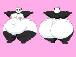  2018 4:3 5_fingers 5_toes anthro areola batspid2 bear big_breasts big_butt biped black_body black_fur breasts butt cel_shading claws digital_drawing_(artwork) digital_media_(artwork) feet female fingers front_view fur giant_panda gloves_(marking) hair huge_belly huge_butt huge_thighs hyper hyper_butt hyper_hips hyper_thighs leg_markings mammal markings model_sheet morbidly_obese morbidly_obese_anthro morbidly_obese_female multicolored_body multicolored_fur multiple_images navel nipples nude_anthro nude_female obese obese_anthro obese_female overweight overweight_anthro overweight_female pawpads pink_areola pink_background pink_nipples puffy_nipples rear_view scut_tail shaded short_tail simple_background socks_(marking) sofia_(batspid2) solo standing t-pose tail thick_thighs three-quarter_view toes two_tone_body two_tone_fur white_body white_fur white_hair 