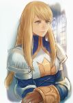  1girl agrias_oaks armor blonde_hair blue_eyes braid breasts final_fantasy final_fantasy_tactics gloves looking_away medium_breasts regan_(hatsumi) shoulder_armor signature smile solo upper_body white_background window 