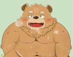  anthro bear belly blush bodily_fluids brown_body brown_fur cowgirl_position first_person_view from_front_position fur male mammal navel nipples nude on_bottom on_top overweight raio_owo sex solo sweat tattoo 