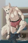  abs absurd_res anthro arm_tuft athletic athletic_anthro athletic_male biceps black_nose blurred_background body_tuft bottomwear bottomwear_down bottomwear_pull bracelet bulge calf_tuft canid canine canis claws clothed clothing clothing_pull domestic_dog ear_piercing eyebrows facial_tuft fluffy fluffy_tail fur hair head_tuft hi_res jewelry leg_tuft looking_at_viewer male mammal nipples pants pants_down pants_off pants_pull partially_clothed pecs piercing reedeer serratus solo tail tail_tuft tuft underwear undressing watermark white_body white_fur wristband 