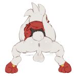  anthro anus balls butt clothed clothing darkluxia generation_8_pokemon genitals male nintendo partially_clothed pokemon pokemon_(species) presenting presenting_hindquarters raboot red_eyes simple_background solo white_body 