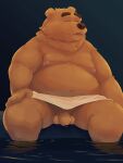  0ottotto0 2023 3:4 absurd_res anthro balls bear belly big_belly black_nose brown_body brown_fur censored detailed_background flaccid fur genitals hi_res kemono male mammal moobs nipples overweight overweight_male penis sitting solo towel water 