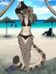  ajna anthro beach bikini blush breasts brown_eyes brown_hair clothed clothing discarded_clothing felid female fur grey_body grey_fur group hair hi_res mammal midriff navel palm_tree pantherine plant seaside snow_leopard solo_focus spots spotted_body spotted_fur swimwear tail tree undressing 