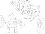  amy_rose angry anthro boots breasts butt clothing etchgerbil eulipotyphlan exercise female footwear genitals gloves handwear hedgehog mammal nude pussy sega sonic_the_hedgehog_(series) towel training weightlifting weights workout 