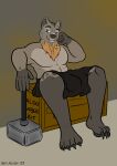  absurd_res apron bear beard blacksmith box bulge clothing container creator facial_hair hammer harikuran hi_res kit lounging male mammal pinup pose sitting smile smirk tools 