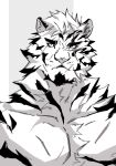  1boy animal_ears arknights bara facial_hair furry furry_male goatee greyscale hagrang highres large_pectorals looking_at_viewer male_focus monochrome mountain_(arknights) muscular muscular_male pectorals portrait scar short_hair solo thick_eyebrows tiger_boy tiger_ears white_hair 
