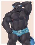  2017 adios anthro biceps black_body black_fur blue_clothing blue_ear_tips blue_eyes blue_highlights blue_tail_tip blue_underwear braxe canid canine canis clothed clothing domestic_dog fur hand_behind_head hi_res highlights_(coloring) looking_at_viewer male mammal musclegut muscular muscular_anthro muscular_male muscular_thighs navel nipples pecs shirtless smile solo underwear underwear_only 