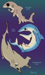  ambiguous_gender blue_shark feral fin fish gills ground_shark group hammerhead_shark marine paws requiem_shark shark species_name tail tail_fin teebsly trio 