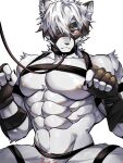  abs absurd_res anthro areola belt blush canid canine canis chung0_0 clothing collar fingerless_gloves fur gloves hair handwear hi_res leash leashed_collar male mammal mihoyo muscular muscular_anthro muscular_male red_eyes solo von_lycaon white_body white_fur wolf zenless_zone_zero 