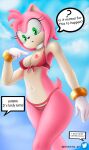  @gambito_art absurd_res amy_rose breasts erizo fan_character female female/female gambito234 hi_res invalid_tag nsfw opencommissions sega solo sonic_the_hedgehog sonic_the_hedgehog_(comics) sonic_the_hedgehog_(series) 