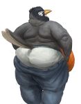  2021 anthro avian back_rolls belly bird bottomwear butt cettus clothed clothing denim denim_clothing dressing feathers grey_body grey_feathers jeans looking_at_butt looking_back male obese obese_anthro obese_male orange_belly oscine overweight overweight_anthro overweight_male pants partially_clothed passerine pulling_up_pants rear_view robin_(bird) simple_background solo topless underwear white_background 