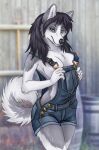  anthro black_hair blue_eyes breasts canid canine canis caribou_(artist) clothing denim denim_clothing domestic_dog female fluffy fluffy_elbows fluffy_tail fur hair husky kyra_(invasormkiv) long_hair long_tail looking_at_viewer mammal multicolored_body multicolored_fur nipples nordic_sled_dog overalls side_boob slim solo spitz tail 
