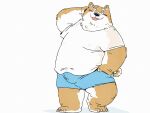  2023 anthro belly big_belly black_nose blush bottomwear brown_body bulge canid canine canis clothing domestic_dog eyes_closed hi_res kemono male mammal overweight overweight_male pommn_mn shirt shorts simple_background solo tongue tongue_out topwear 