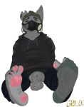  anthro canid canine canis clothed clothing drugged feet foot_fetish foot_focus footwear gas_mask goldi_(the_g0lden_0ne) hi_res hoodie male mammal mask one_sock_on pawpads piercing sitting sniffing sock_sniffing socks solo substance_intoxication the_g0lden_0ne topwear torn_clothing wolf 