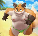  2023 absurd_res anthro beach belly big_belly bulge canid canine clothing fox genitals hi_res humanoid_hands iyo_(tamacolle) kemono kiyo male mammal moobs navel nipples outside overweight overweight_male penis seaside solo swimwear tamacolle 