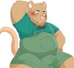  2023 anthro belly big_belly blush bow_tie brown_body bulge clothed clothing erection erection_under_clothing genital_outline givemepudding3 hi_res kemono male mammal murid murine overweight overweight_male penis_outline pink_nose rat rodent shirt simple_background solo topwear white_background 