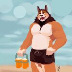  3000vnd anthro beach bottomwear brown_hair canid canine canis chest_tuft clothed clothing domestic_dog fur hair hi_res male mammal mane multicolored_body multicolored_fur muscular muscular_male overweight overweight_male seaside solo swimming_trunks swimwear topless topless_male tuft two_tone_body two_tone_fur 
