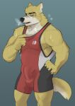  anthro athletic_wear bodily_fluids bottomwear bulge canid canine canis clothed clothing cooper_krager digital_media_(artwork) erection exercise eye_scar facial_scar fur genitals gym_bottomwear gym_clothing gym_shorts hi_res horrorbuns male mammal muscular muscular_anthro muscular_male pecs penis remember_the_flowers scar shirt shorts simple_background solo sweat tank_top tight_clothing topwear wolf workout workout_clothing yellow_body yellow_fur 