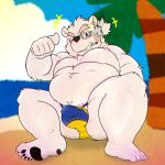  anthro beach bear belly bulge cigarette detailed_bulge eyewear fur glasses goujuyu grin hi_res leib_(tas) lifewonders male mammal musclegut navel nipples one_eye_closed pawpads pecs polar_bear seaside smile smoking solo tight_swimwear tokyo_afterschool_summoners ursine white_body white_fur wink 