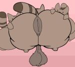  2023 anus balls big_balls big_butt black_eyes butt digital_media_(artwork) domestic_cat felid feline felis feral fur genitals grey_body grey_ears grey_fur grey_tail group hand_on_butt happy hi_res huge_butt male mammal pink_background presenting presenting_hindquarters pusheen pusheen_and_friends quadruped simple_background stankbank thick_thighs trio two_tone_tail whiskers 