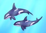  ambiguous_gender black_body blue_background cetacean dolphin duo feral hi_res insaneproxy_(artist) mammal marine oceanic_dolphin orca simple_background toothed_whale water white_body 