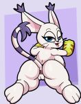 all_fours anthro anus bandai_namco bedroom_eyes big_breasts breasts clothing digimon digimon_(species) female gatomon genitals gloves gloves_only handwear handwear_only hi_res looking_at_viewer looking_back mostly_nude narrowed_eyes nipples nude presenting pussy seductive solo someth1ngoranother thick_thighs tongue tongue_out 