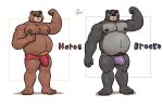  absurd_res alanottaviano anthro barazoku bear belly black_bear brown_bear brown_body brown_fur bulge duo fur grizzly_bear hi_res male male/male mammal musclegut muscular muscular_male overweight overweight_male ursine 