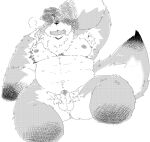  2023 anthro balls belly canid canine erection fox genitals hi_res kemono male mammal moobs nipples overweight overweight_male penis pubes simple_background small_penis solo suishou0602 white_background 