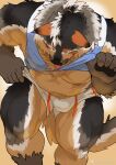  1boy animal_ear_fluff animal_ears bara bare_pectorals belly black_fur boogbogex brown_eyes brown_fur bulge chest_hair dog_boy dog_ears feet_out_of_frame from_above furry furry_male haki_(boogbogex) highres large_pectorals lifted_by_self looking_at_viewer male_focus muscular muscular_male navel_hair nipples orange_fur original pectorals short_hair short_shorts shorts shorts_lift sitting solo thick_eyebrows thighs tongue tongue_out whiskers white_fur 