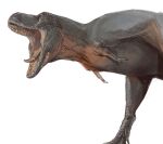  animal_focus dinosaur extinct highres mossacannibalis no_humans open_mouth original prehistoric_animal sharp_teeth simple_background teeth tongue tyrannosaurus_rex white_background 