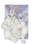  2023 anthro balls belly big_belly erection genitals hi_res humanoid_hands lagomorph leporid male mammal mature_male moobs overweight overweight_male penis rabbit sauna scar shangri-la_frontier sitting solo tbid vorpal_rabbit vysache 