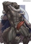  2023 abs absurd_res amon-sydonai anthro armpit_hair balls biceps big_muscles black_nipples black_sclera blaidd_(elden_ring) body_hair canid canine canis chest_tuft cloak clothed clothing elden_ring erection fromsoftware fur genitals grey_body grey_fur hi_res humanoid_genitalia humanoid_penis male mammal muscular muscular_anthro muscular_male nipples penis pubes purple_eyes scar scars_all_over solo tuft wolf 
