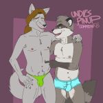  anthro blue_briefs blue_clothing blue_eyes blue_underwear briefs briefs_only brown_body brown_eyes brown_fur brown_hair bulge canid canine canis claws clothed clothing detailed_background duo english_text fur genital_outline green_clothing green_thong green_underwear grey_body grey_fur hair hand_on_leg hand_on_stomach hand_on_thigh hi_res male mammal navel nipples open_mouth penis_outline procyonid purple_background raccoon rthur simple_background smile tan_body tan_fur teeth_showing text thong tongue_showing topless underwear underwear_only wolf 