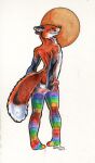  anthro balls_outline black_body black_fur butt canid canine clothed clothing fox fur genital_outline grin heather_bruton legwear legwear_only male mammal mostly_nude multicolored_clothing multicolored_legwear multicolored_stockings panties rainbow_clothing rainbow_legwear rainbow_stockings red_body red_fox red_fur smile solo stockings stockings_only thigh_highs topless underwear white_body white_fur 