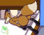  absurd_res anthro anus ass_up butt canid canine feet fox foxy_vir girly hi_res male mammal nude pawpads paws red_fox solo 