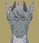  anthro cheek_tuft dragon ear_piercing facial_tuft front_view fur furred_dragon grey_body grey_fur grey_hair grey_horn hair headshot_portrait hi_res horn lionfloof looking_at_viewer male mouth_closed piercing portrait short_hair simple_background solo tuft yellow_eyes 