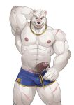  2023 abs anthro bear biceps blue_bottomwear blue_clothing blue_shorts bodily_fluids bottomwear clothing dripping facial_hair frde fur genital_fluids genitals glistening glistening_bodily_fluids glistening_genital_fluids glistening_precum hands_behind_head hi_res humanoid_genitalia humanoid_penis male mammal muscular muscular_anthro muscular_male nipples pecs penis pinup poking_out polar_bear portrait pose precum precum_drip raised_arm scar scars_all_over shorts simple_background solo sweat three-quarter_portrait tongue tongue_out ursine white_background white_body white_fur 