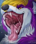  2023 anthro artist_name black_nose bodily_fluids dated facial_piercing fangs fur glistening glistening_eyes hi_res looking_at_viewer male mouth_shot narrowed_eyes nose_piercing nose_ring open_mouth orange_eyes piercing purple_body purple_fur red_tongue ring_piercing saliva saliva_on_tongue saliva_string santanahoffman septum_piercing septum_ring sharp_teeth solo teeth tongue uvula white_body white_fur 